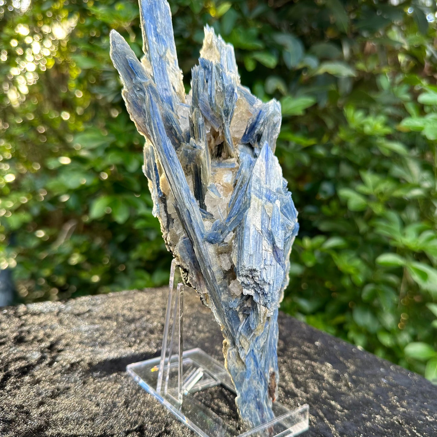 Unique Kyanite Specimen