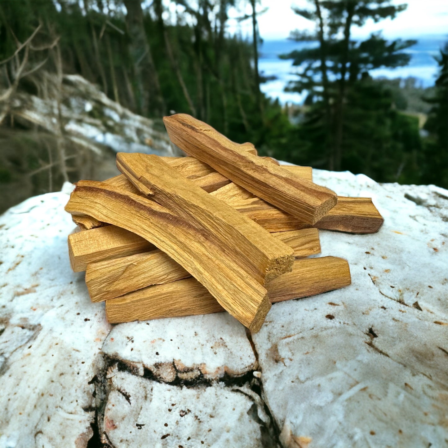 Palo Santo