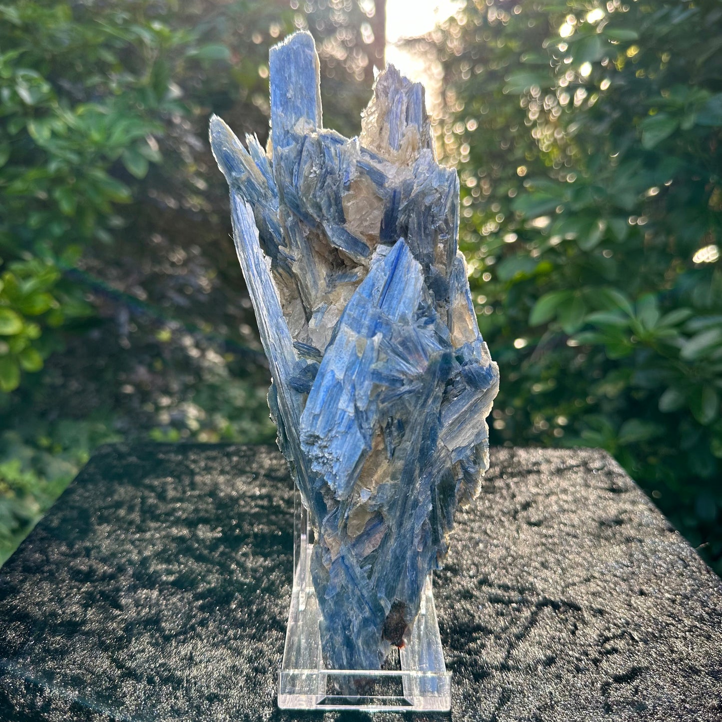 Unique Kyanite Specimen