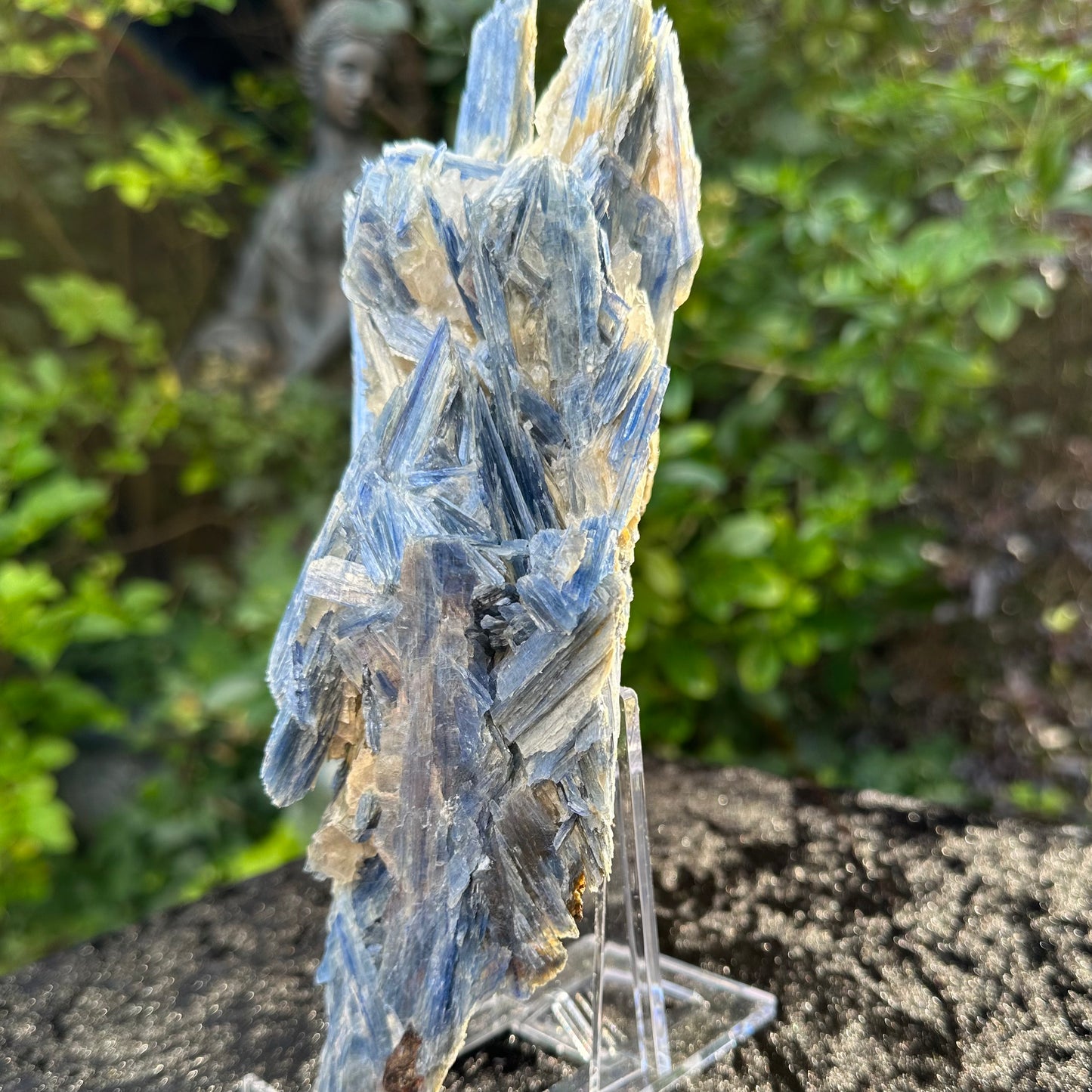 Unique Kyanite Specimen