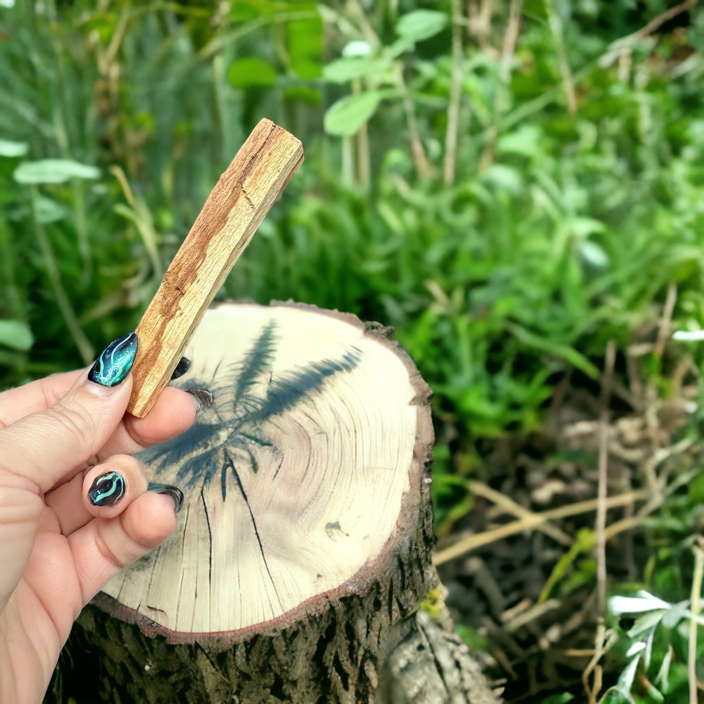 Palo Santo