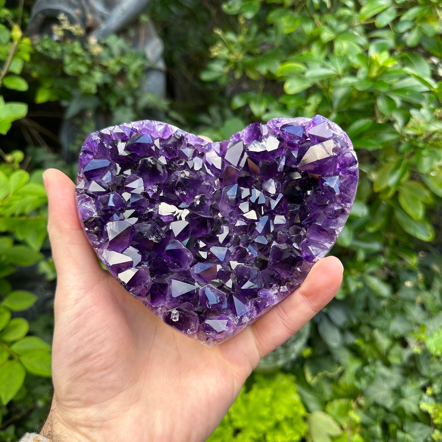Extra quality, Amethyst Hart