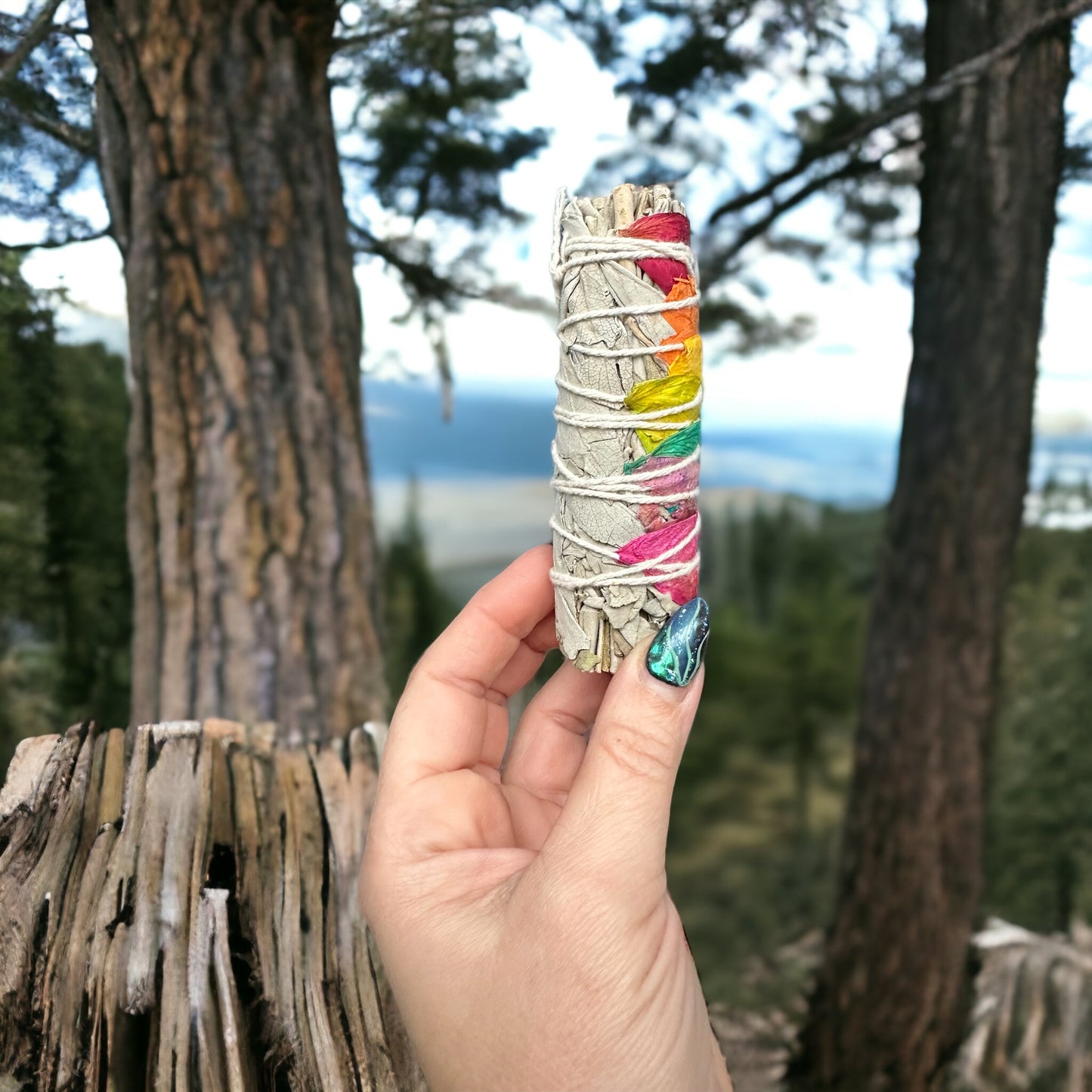 Chakra Sage