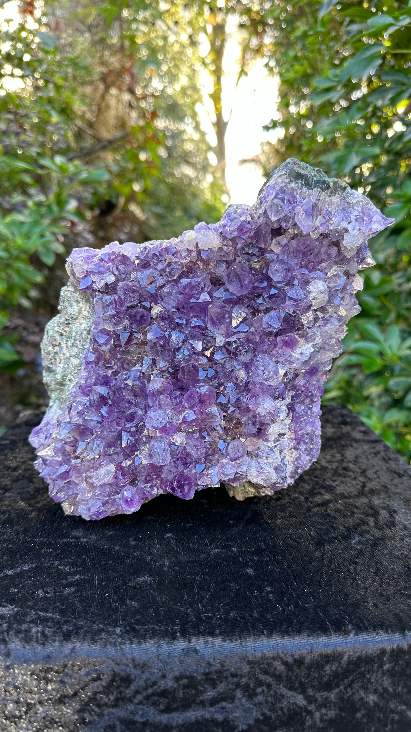 Natural Amethyst Cluster Cut Base