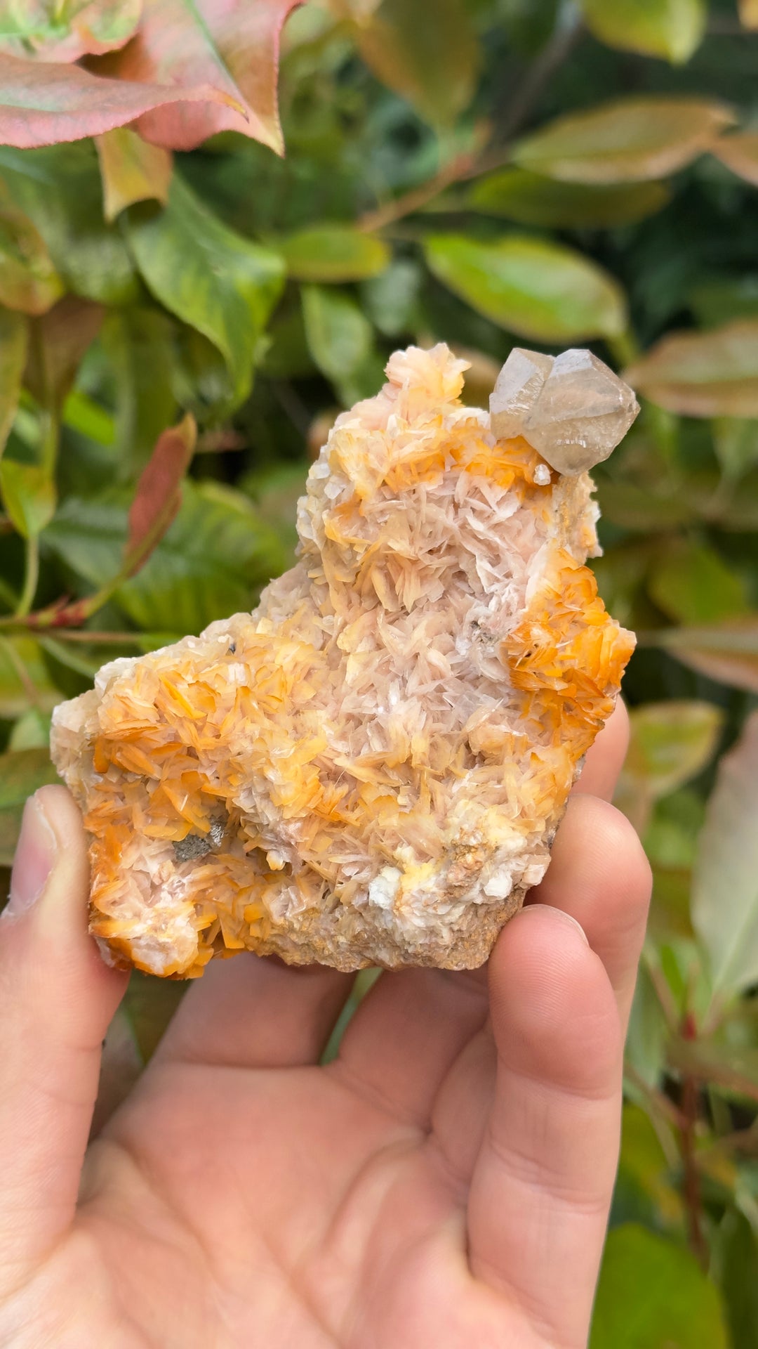 Vanadinite Specimen￼