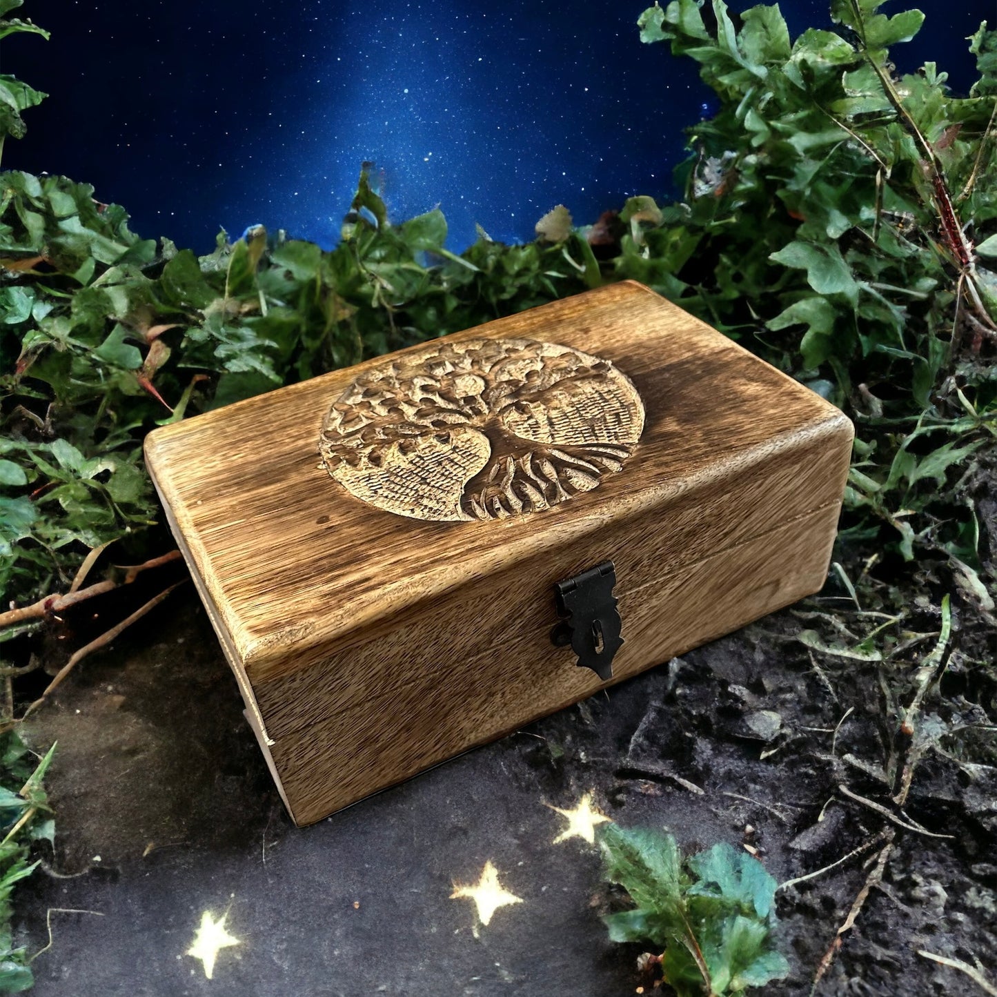 Protective Treasure Box