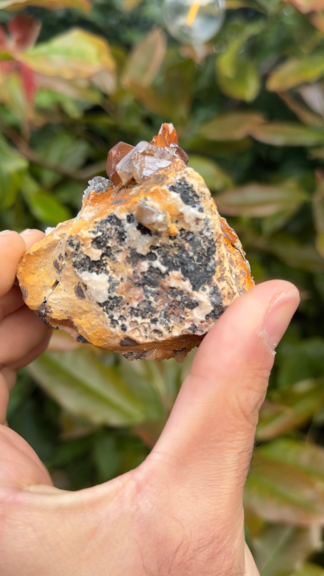 Vanadinite Rare specimen