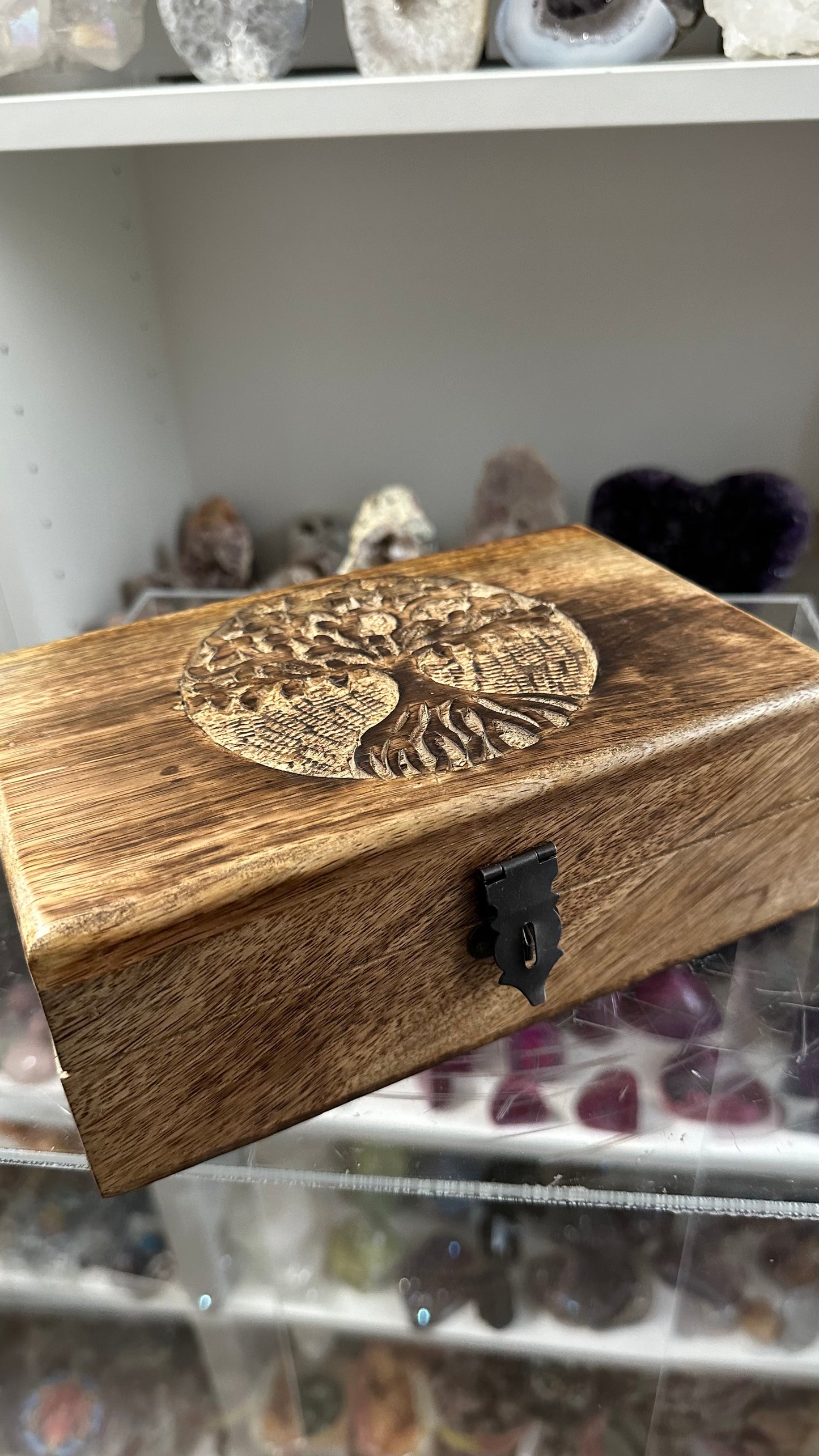 Protective Treasure Box